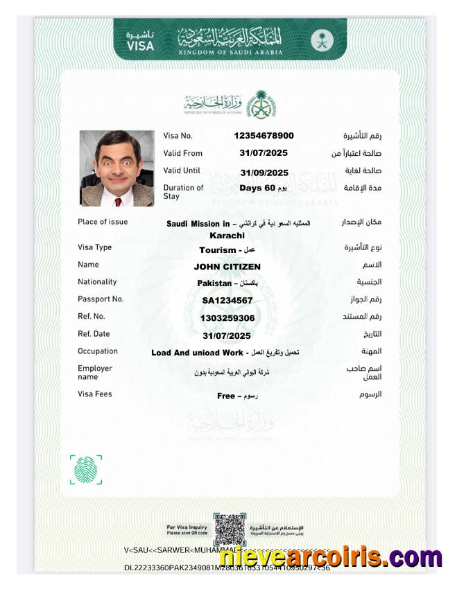 Saudi Arabia e-visa, version 7